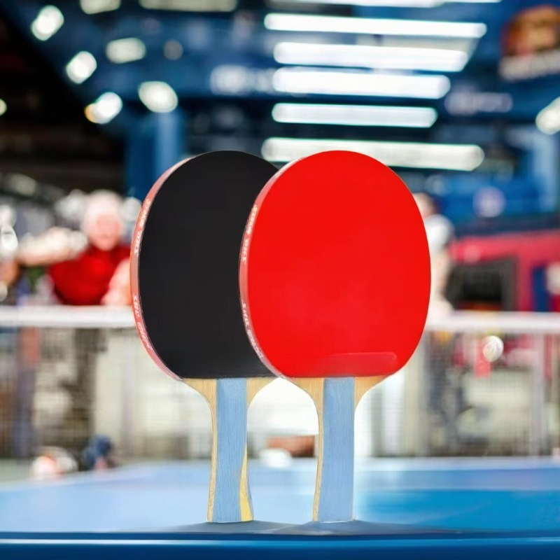 مضرب تنس طاولة احترافي جديد عا - مراجعة Table Tennis Ranking وسعره
