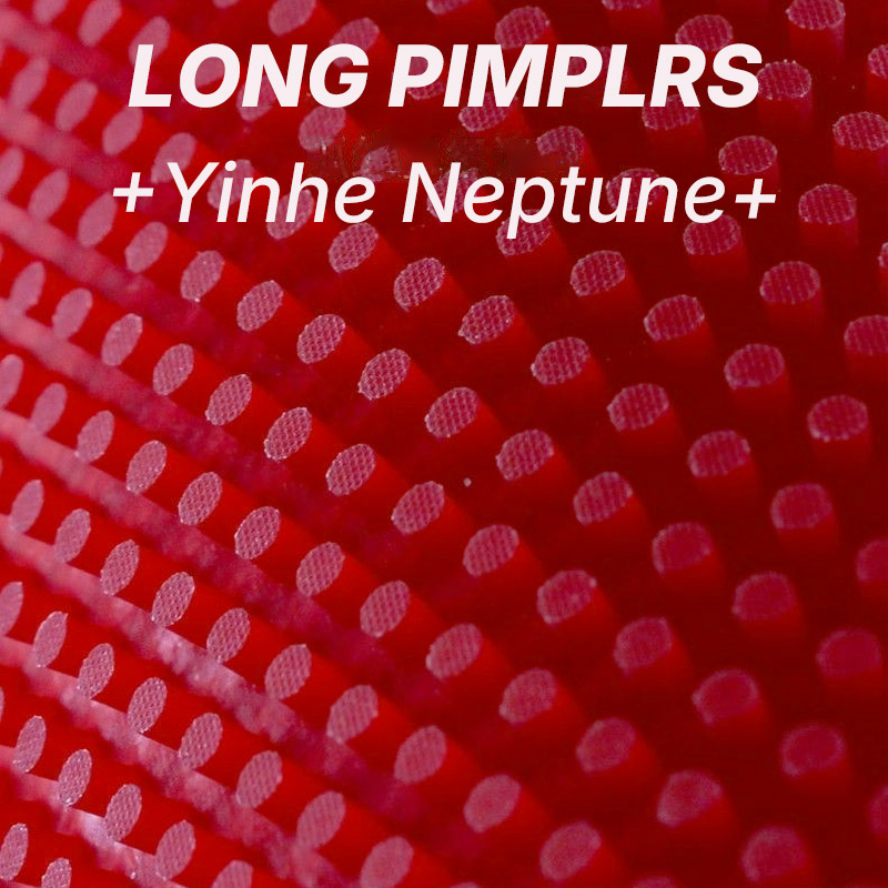 مطاط تنس الطاولة YINHE NEPTUNE - مراجعة Table Tennis Is Played With A وسعره