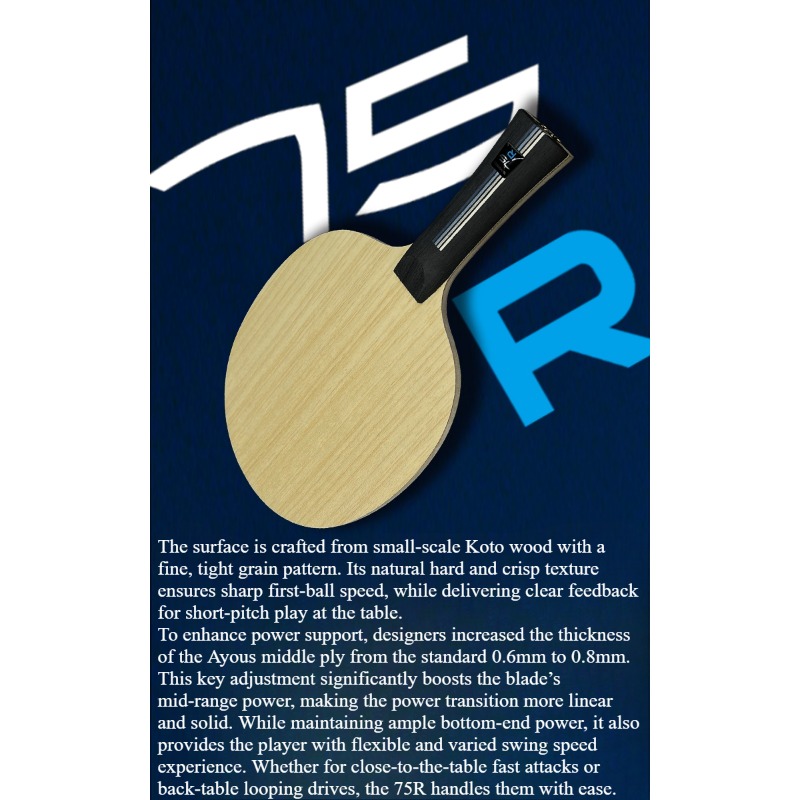 مضرب تنس طاولة SANWEI 75R 5+2  - مراجعة Table Tennis Paddle وسعره